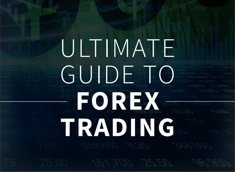 Ultimate Guide to Forex Trading