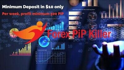 FOREX PIP KILLER EA�?[Cost $600] �?For FREE