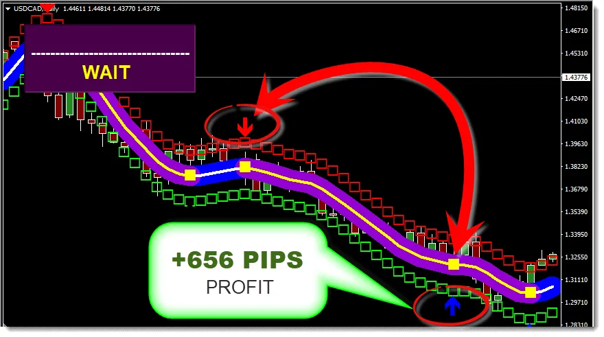 Best Forex Scalper Free Download ForexCracked.com
