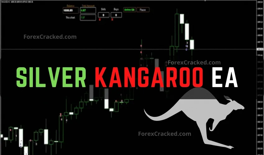 Silver Kangaroo FREE Forex EA Download