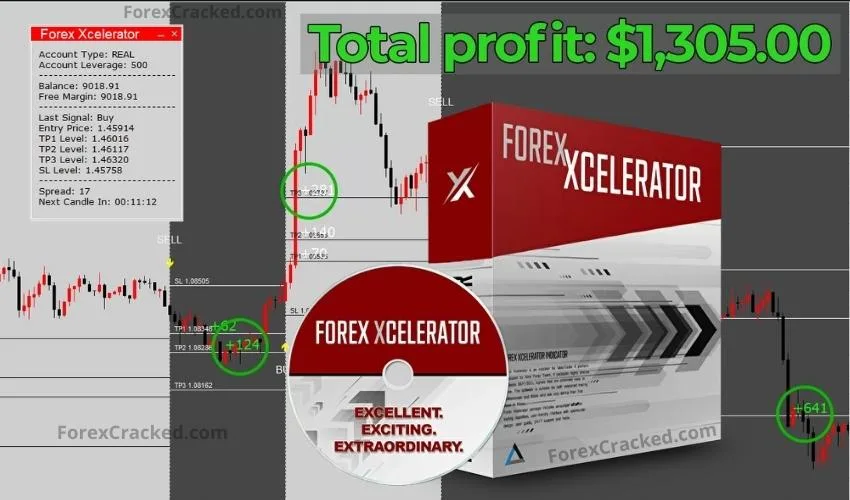 Forex Xcelerator – Best Solution For Trading