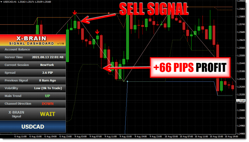 X Brain Method Forex Indicator System FREE Download usdcadd1 ForexCracked.com