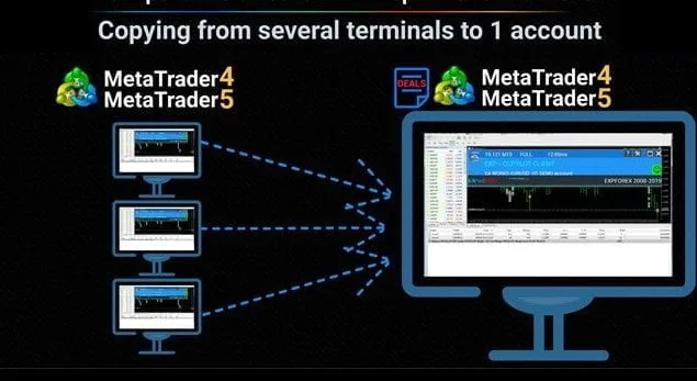 FREE Forex Trade Copier copy from multiple terminal to one ForexCracked.com