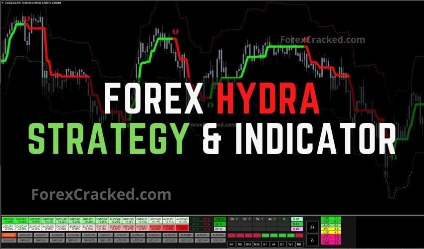 Forex Hydra Strategy & Indicator FREE Download