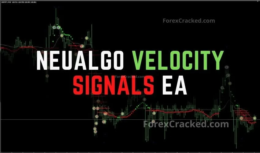 NeuAlgo Velocity Signals MT4 EA FREE Download
