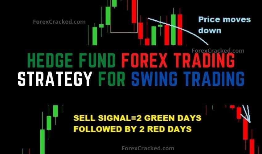 Hedge Fund Forex Trading Strategy For Swing Trading