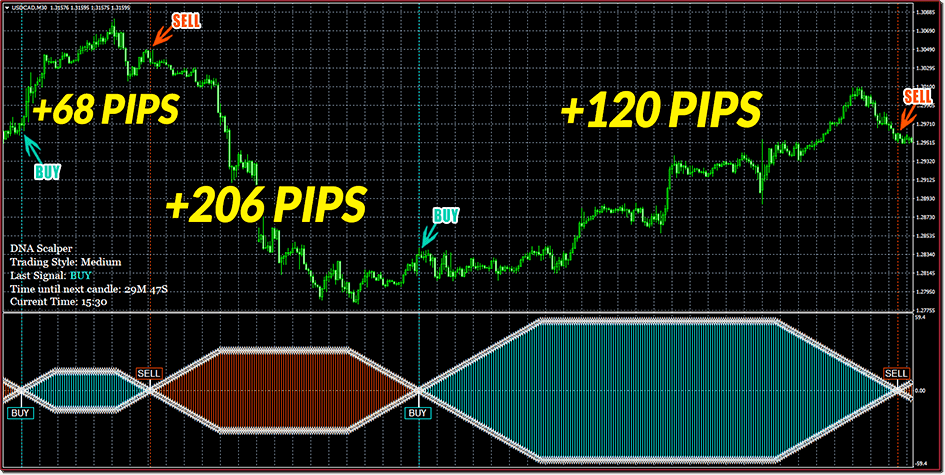 USDCAD, 3 trades resulting in 68, 206 and 120 pips ForexCracked.com