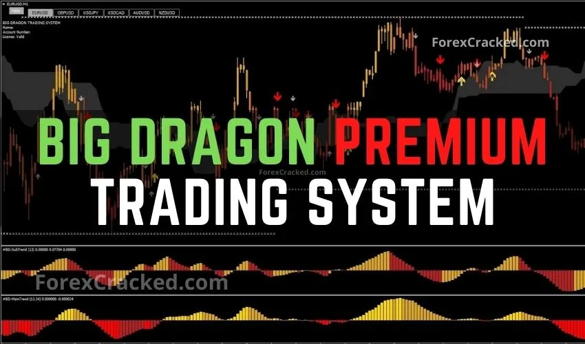 Big Dragon Premium Trading System FREE Download
