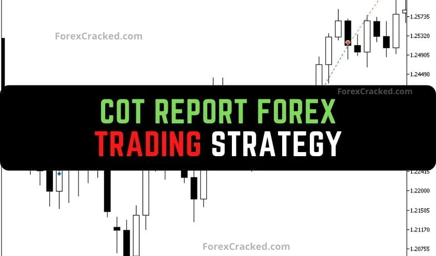 CoT Report  Forex Trading Strategy