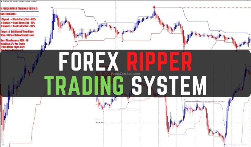 Forex Ripper Indicator System MT4 FREE Download ForexCracked.com