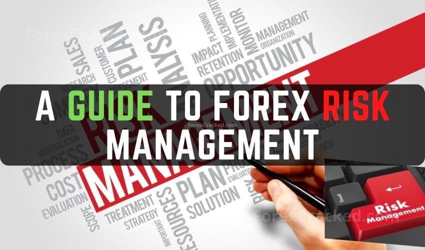 Forex Trading 101: A Guide to Forex Risk Management