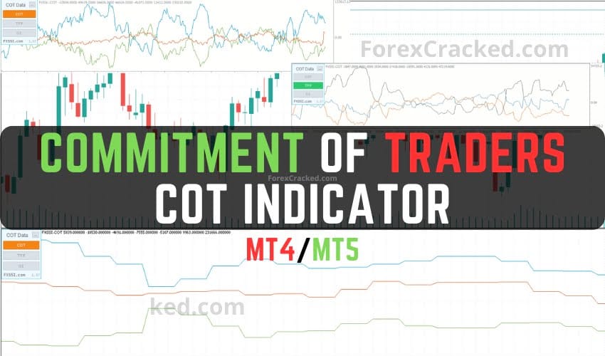 Commitment of Traders – COT Indicator MT4/MT5 FREE Download