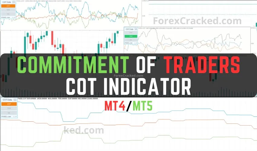 Commitment of Traders – COT Indicator MT4/MT5 FREE Download