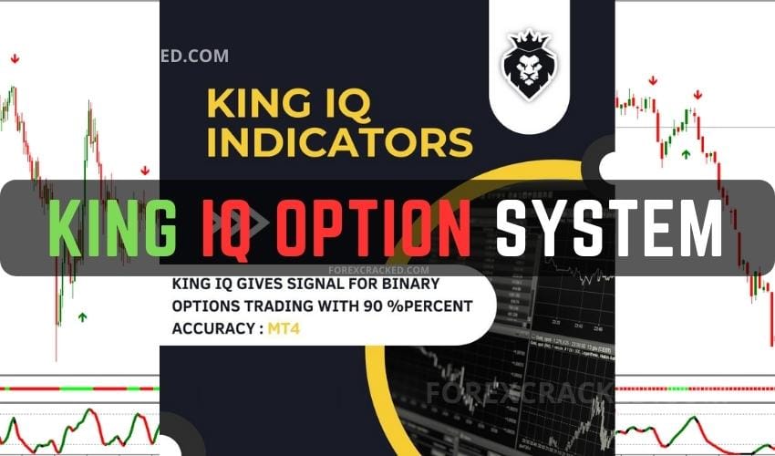 King IQ Option Indicator System FREE Download