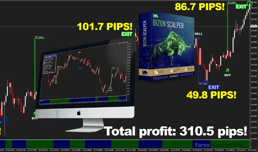 Unlock Steady, Safe, and Consistent Profits with Bizon Scalper Non Repaint Indicator