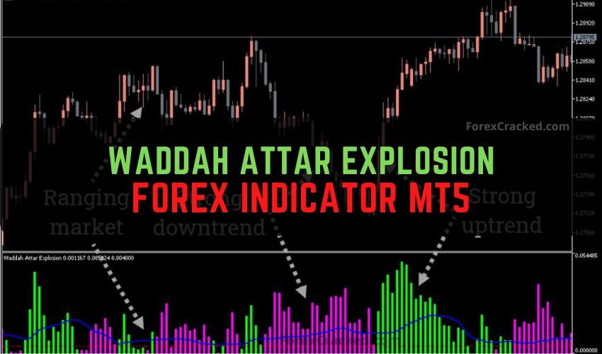 Waddah Attar Explosion Forex Indicator MT5 Free Download