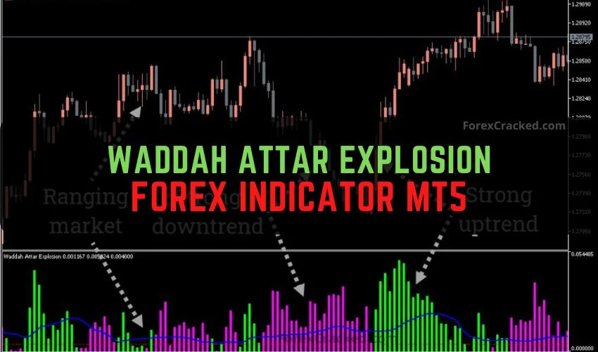 Waddah Attar Explosion Forex Indicator MT5 Free Download