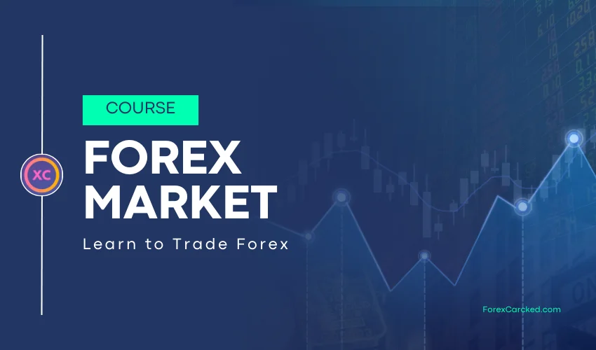 How to Trade Forex?
