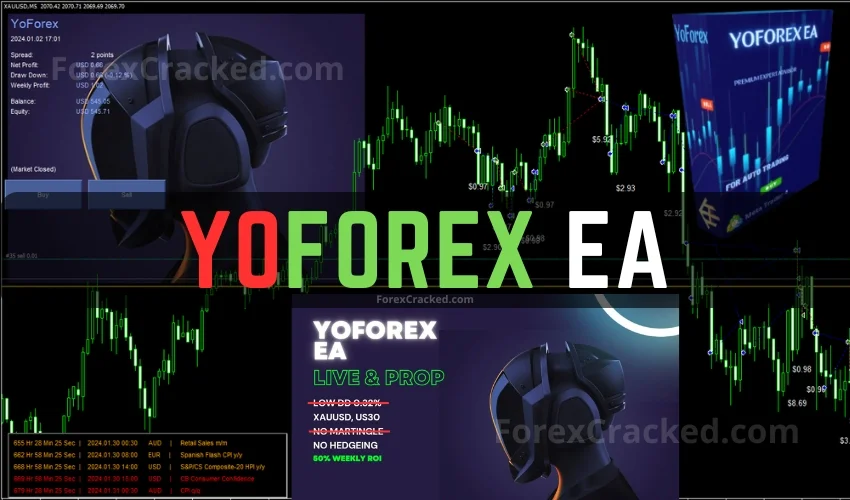 YoForex FREE EA Download