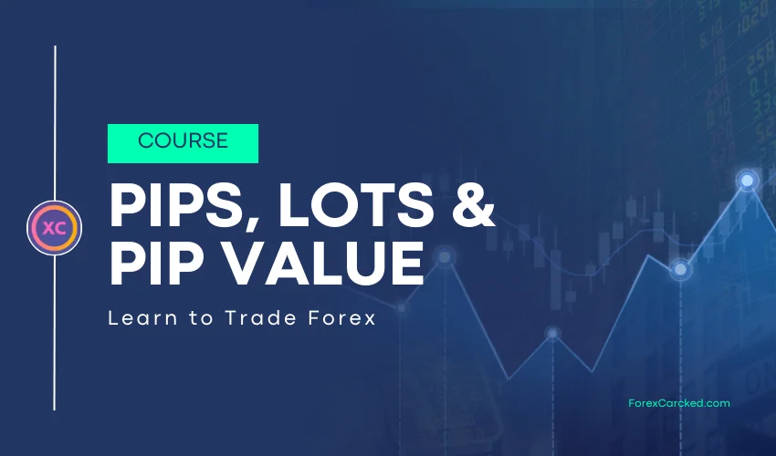 What are Pips in Forex Trading?