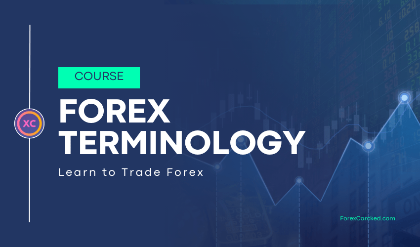 Forex Terminology for Beginners