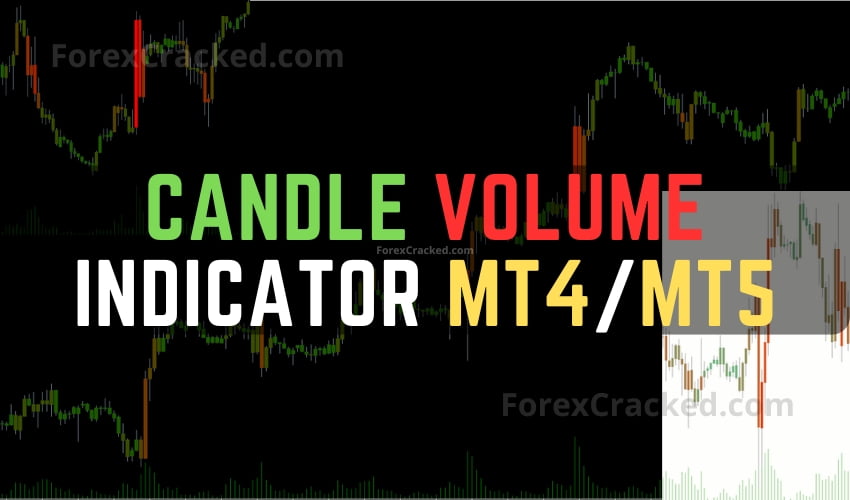 Candle Volume Indicator MT4/MT5 FREE Download