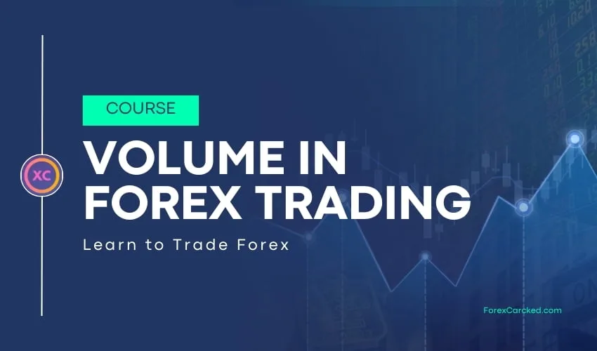 What is Volume in Forex Trading? – Beginners Guide