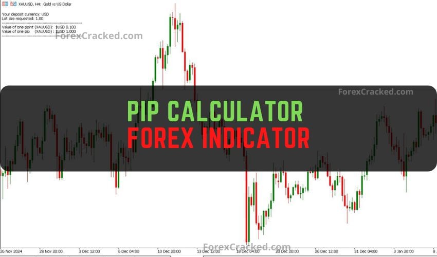 Pip Calculator Indicator: Your Essential Risk Management Tool