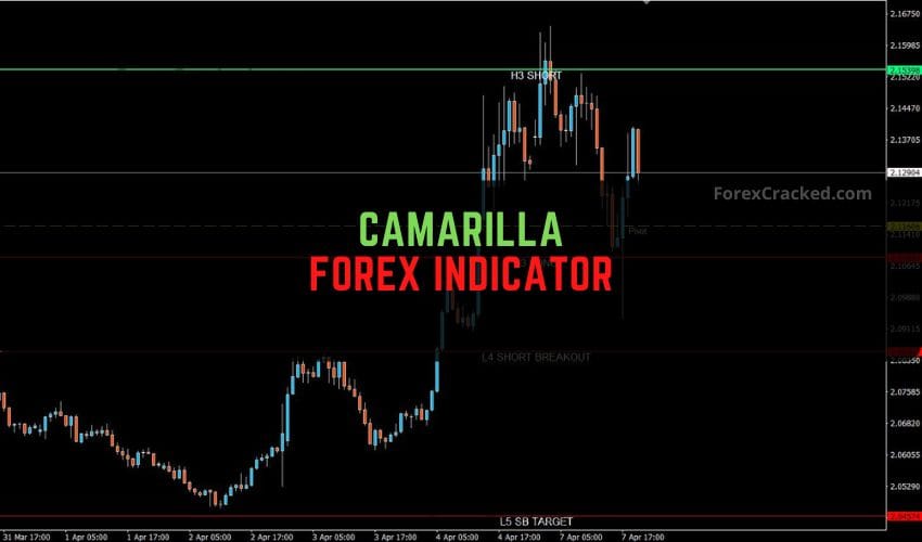 forexcracked.comCamarilla Forex Indicator for MT4 Free Download