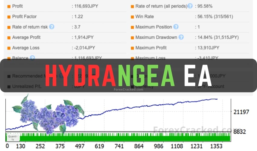 Hydrangea EA FREE Download